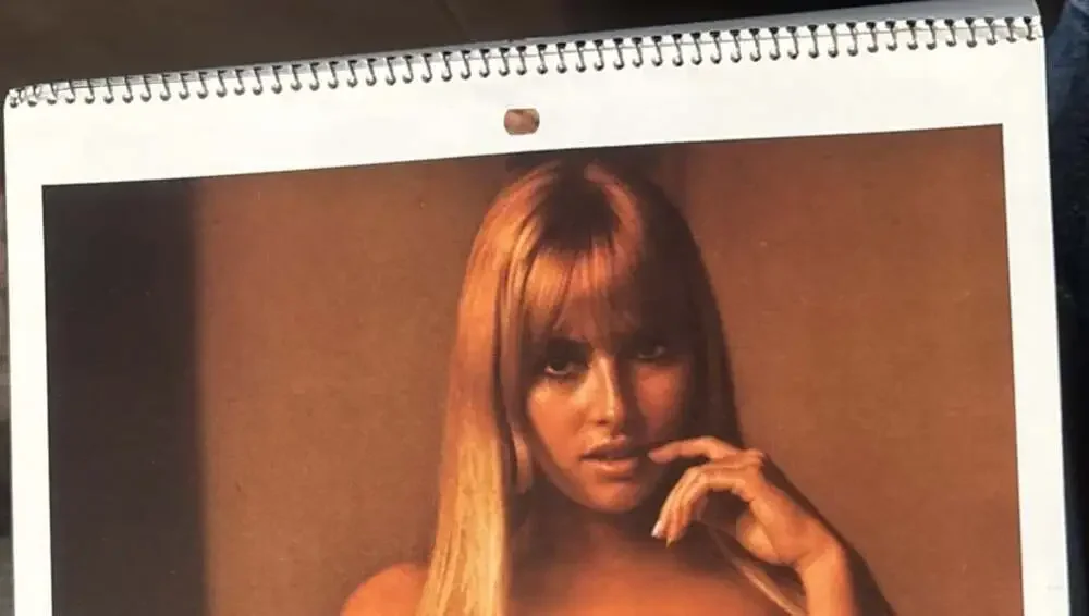 1973 Playboy Wall Calendar
